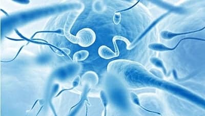 Kaisa Makarainenning yalangoch surati